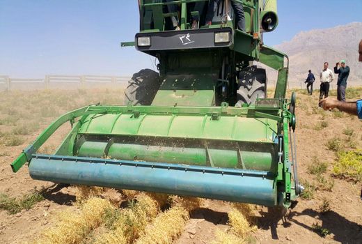 سهم 10 درصدی کشاورزی از تولید ناخالص ملی