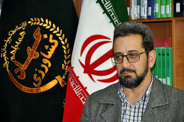 تولید سه هزار شاخه گل رز در خراسانجنوبی