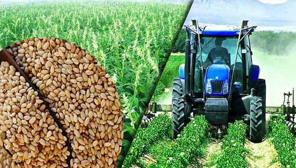 اختصاص 2 هزار میلیارد تومان تسهیلات بانکی برای تهیه و تدارک نهاده های کشاورزی