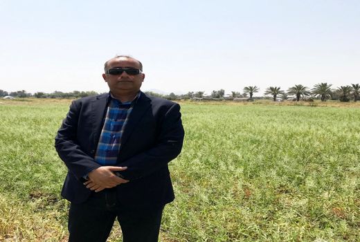 سطح گلخانه‌های هرمزگان، ۵ برابر شد