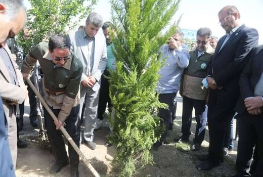 افلاطونی: پویش سرو ایران نماد ایستادگی و رویش دوباره ملت است