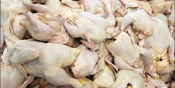 تولید گوشت در کردستان هشت درصد افزایش داشته است