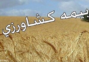 پرداخت ۲۱۶ میلیارد ریال غرامت به کشاورزان خراسان جنوبی 