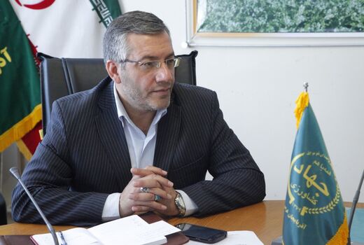 تداوم روند صادرات سیب درختی از آذربایجان غربی