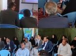 سرمایه‌گذاری شرکت گلدن وست در شهرستان ارزوئیه