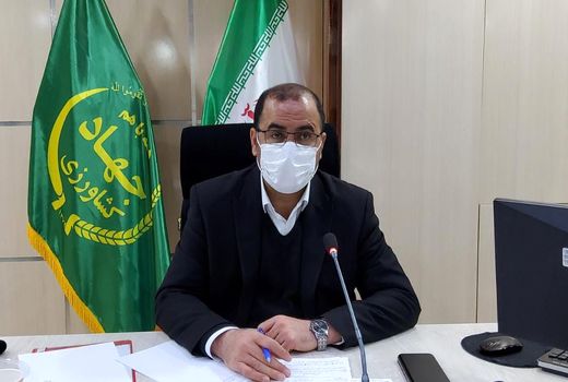 تاکنون ۷۲ درصد از طرح جهش تولید در دیمزارهای استان تحقق پیدا کرده است