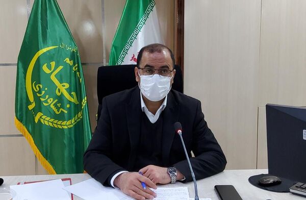 تاکنون ۷۲ درصد از طرح جهش تولید در دیمزارهای استان تحقق پیدا کرده است