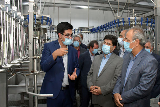 رفع چالش‌های صنعت مرغ با تکمیل زنجیره تولید امکان پذیر است