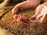 توزیع بذر یارانه‌ای در استان بوشهر
