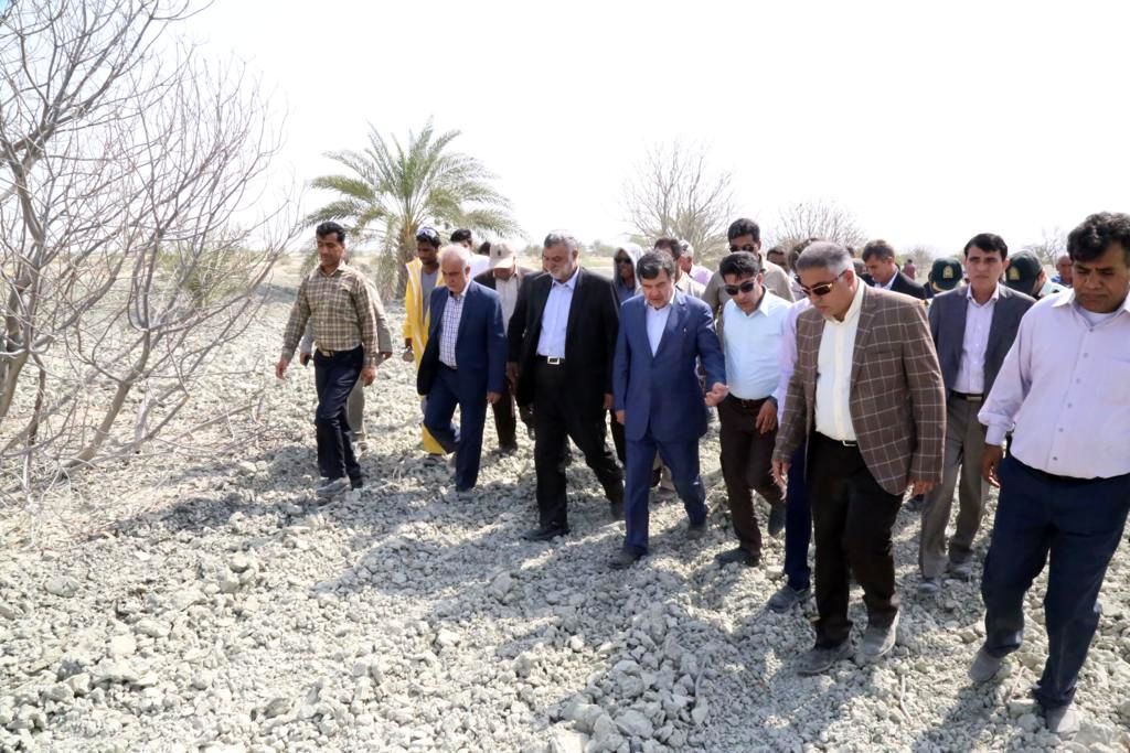 بازدید وزیر جهاد کشاورزی از کانون های آلوده به آفت ملخ صحرایی در شهرستان سیریک استان هرمزگان