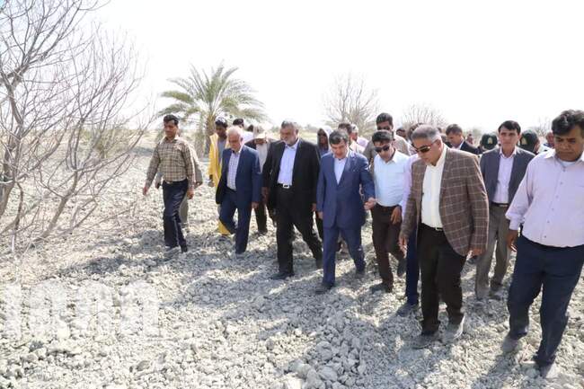 بازدید وزیر جهاد کشاورزی از کانون های آلوده به آفت ملخ صحرایی در شهرستان سیریک استان هرمزگان