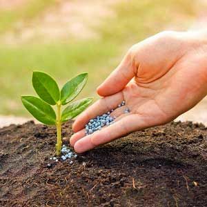 تولید 19500 تن کود سولفات پتاسیم مورد نیاز کشور در استان قم