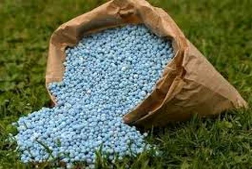 توزیع 109  هزار تن کود کشاورزی از استان بوشهر به اقصی نقاط کشور 