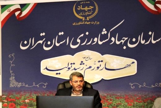 صادرات بیش از 4700 تن صیفی‌جات از گلخانه‌های استان تهران به روسیه