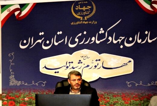 صادرات بیش از 4700 تن صیفی‌جات از گلخانه‌های استان تهران به روسیه