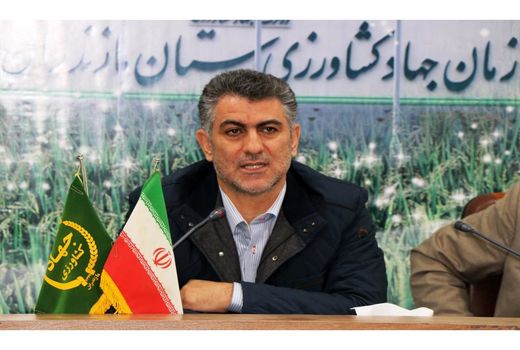 باید از امنیت غذایی به اقتدار غذایی برسیم