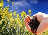 تاکنون 40 درصد سهمیه کود استان تهران درسال 99 جذب شده است