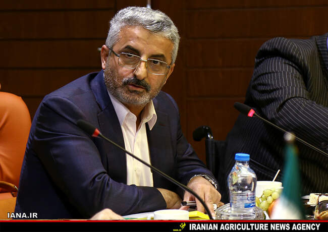 حجتي در جمع  نمايندگان استان گيلان