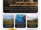 اینفوگرافیک | روزنگار کشاورزی 3