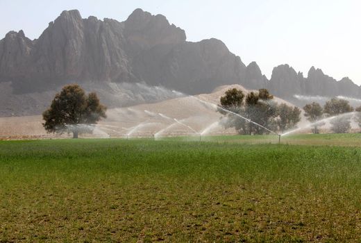 امسال حدود 9 هزار هکتار آبیاری نوین درسیستان وبلوچستان اجرا می شود