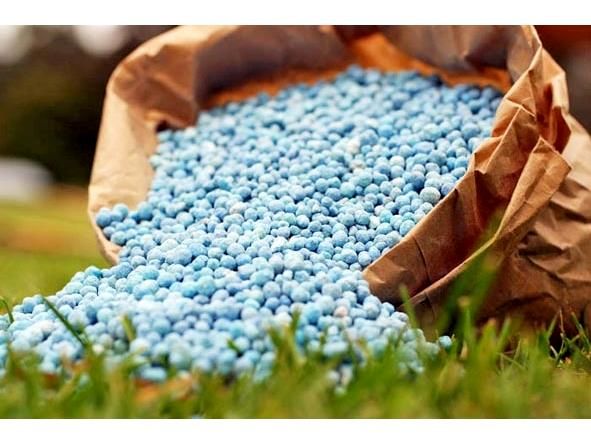 توزیع نزدیک به 7 هزار تن انواع کود شیمیایی در شهرستان خوی