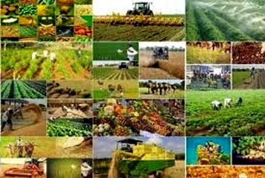 متوسط قیمت محصولات و هزینه خدمات کشاورزی در بهار ١٤٠٠