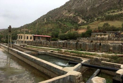 مدیریت مصرف برق شیلات داران در چهارمحال و بختیاری