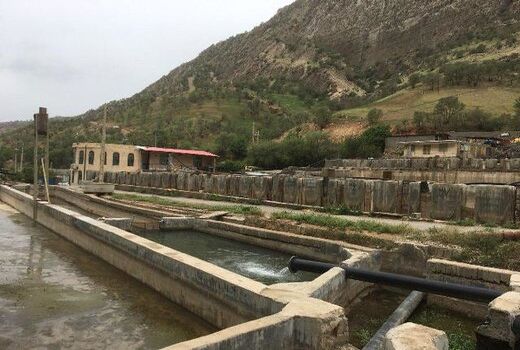 مدیریت مصرف برق شیلات داران در چهارمحال و بختیاری