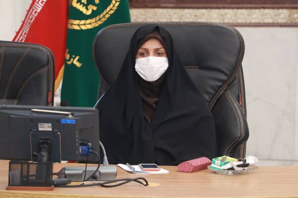 بذر مورد نیاز کشاورزان استان قزوین برای کشت پاییزه تامین شده است