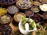 کاشت گیاهان دارویی در ۶۵ هکتار از اراضی کشاورزی شهرضا