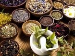کاشت گیاهان دارویی در ۶۵ هکتار از اراضی کشاورزی شهرضا