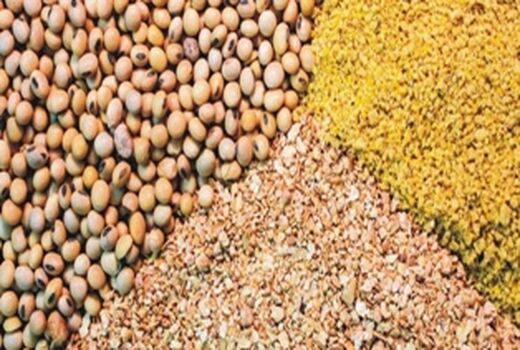بیش از ۱۱۳ هزار تن نهاده دام و طیور در کردستان توزیع شد