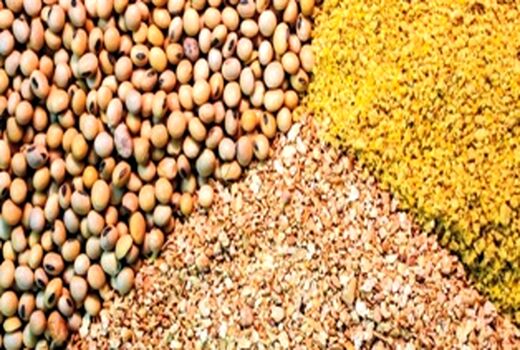 بیش از ۱۱۳ هزار تن نهاده دام و طیور در کردستان توزیع شد
