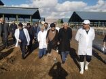 بازدید سرپرست وزارت جهاد کشاورزی از گاوداری ۳ هزار راسی در شهرستان کرمانشاه