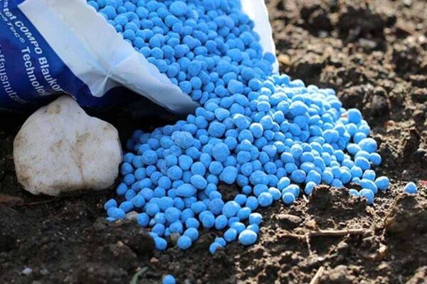 کاهش قیمت‌های کود در مقایسه با سال گذشته میلادی