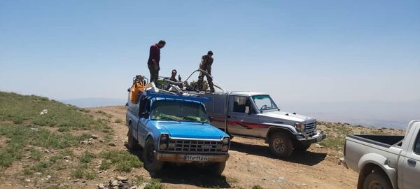 بیش از 5هزارهکتار از سطوح شهرستان دماوند تحت دیدبانی ملخ بومی قرار گرفت