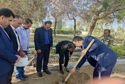 اجرای طرح جنگل‌کاری در ۱۲۰۰ هکتار از اراضی ملی استان بوشهر