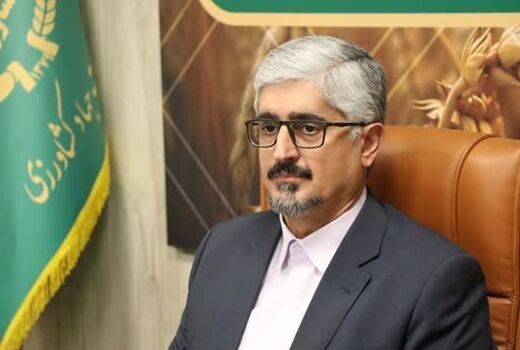 ثبت رکورد طلایی تسویه نقدی مطالبات کلزاکاران فارس