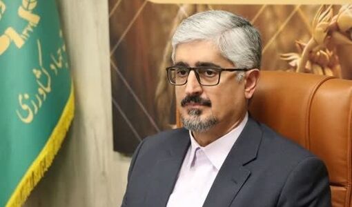 ثبت رکورد طلایی تسویه نقدی مطالبات کلزاکاران فارس