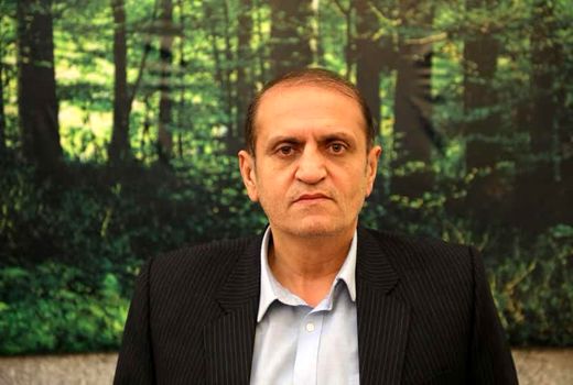 حریق عرصه‌های طبیعی در یک نگاه
