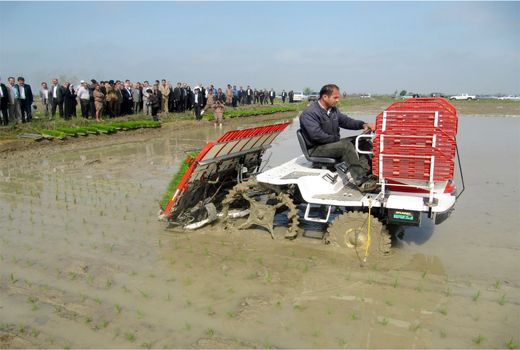 13 میلیارد تسهیلات خرید نشاکار در سیمرغ جذب شد