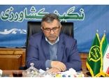 سالانه 2 هزار هکتار از شالیزارهای در مازندران تجهیز و نوسازی می‌شود