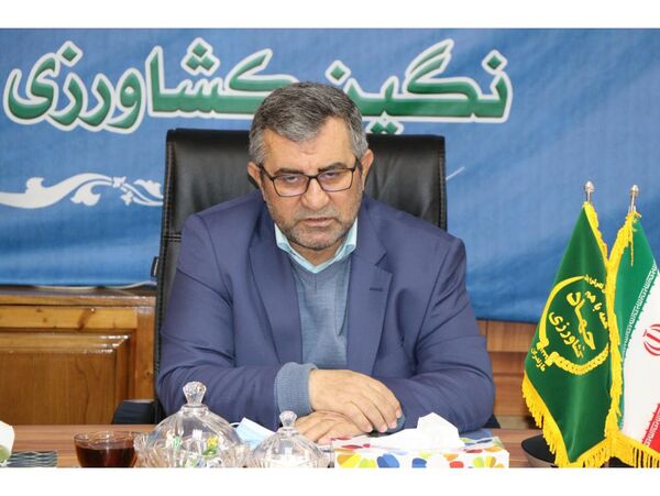 سالانه 2 هزار هکتار از شالیزارهای در مازندران تجهیز و نوسازی می‌شود