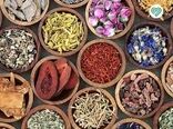 رتبه نخست خوزستان در تولید گیاهان دارویی