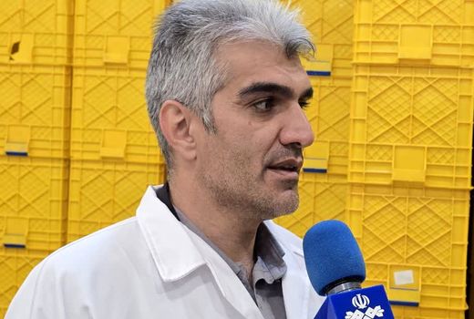 تکمیل زنجیره ارزش ماهیان سردآبی در چهارمحال و بختیاری/ اشتغال‌زایی برای ۱۵ هزار نفر