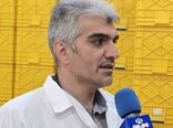 تکمیل زنجیره ارزش ماهیان سردآبی در چهارمحال و بختیاری/ اشتغال‌زایی برای ۱۵ هزار نفر
