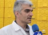 تکمیل زنجیره ارزش ماهیان سردآبی در چهارمحال و بختیاری/ اشتغال‌زایی برای ۱۵ هزار نفر