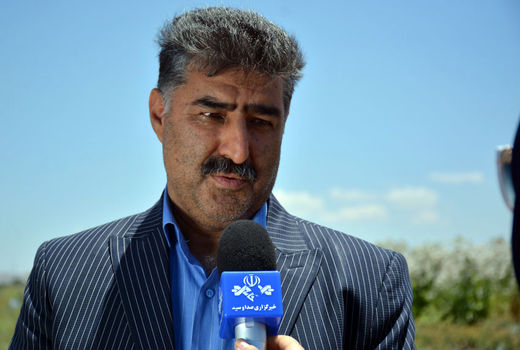 شناسایی  450 گونه گیاه دارویی در  آذربایجان شرقی