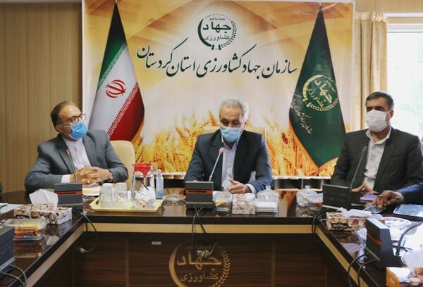 چشم انداز توسعه کردستان را باید در کشاورزی دید