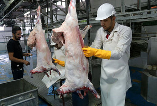  آماده باش 81 اکیپ دامپزشکی در روز عید سعید قربان در آذربایجان غربی